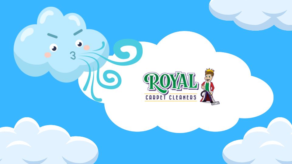 The Importance of Regular Carpet Cleaning for Allergies and Indoor Air Quality