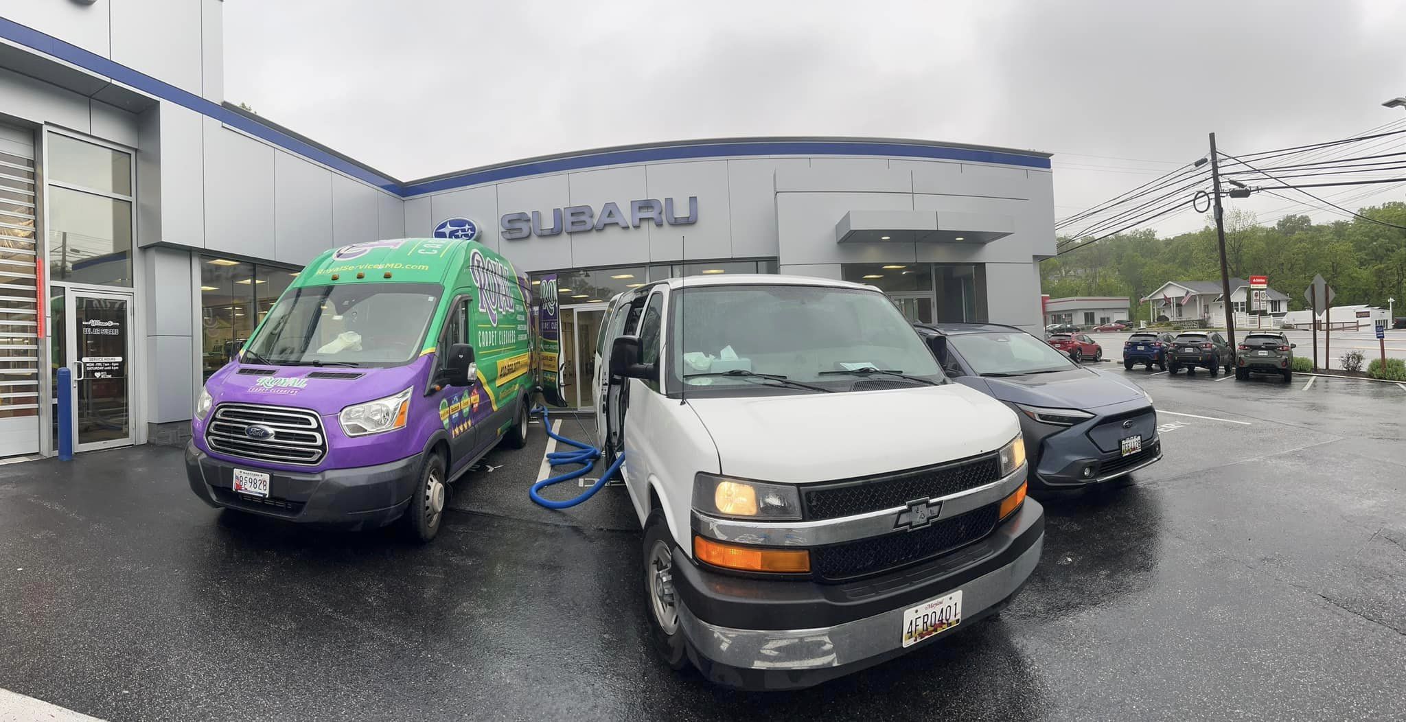 The Ultimate Guide to Carpet Cleaning: How Often Should You Do It?
