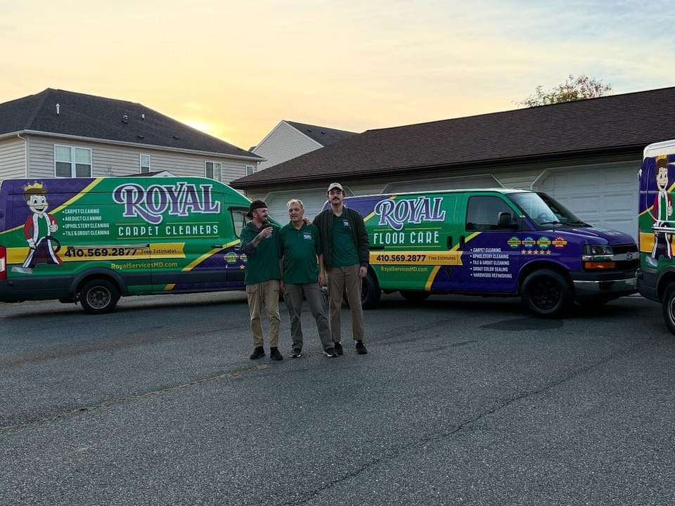 Upholstery Cleaning Service